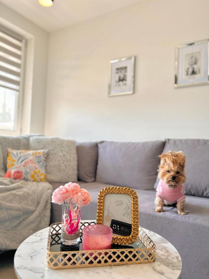 Downtown Apartments Family&Friends Rzeszow Ngoại thất bức ảnh