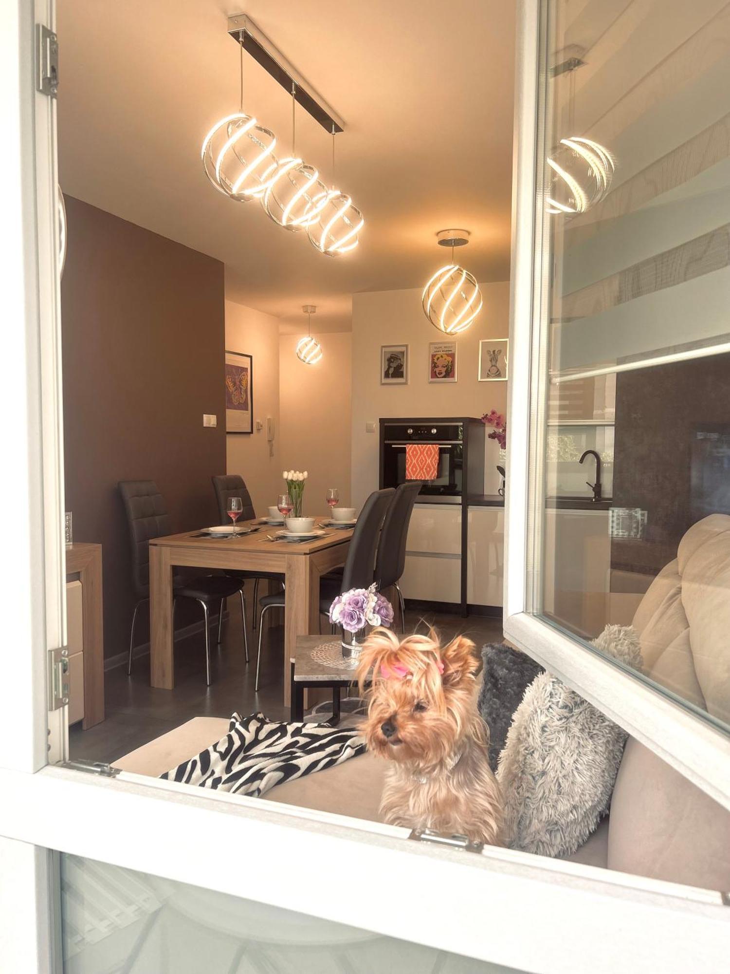 Downtown Apartments Family&Friends Rzeszow Ngoại thất bức ảnh